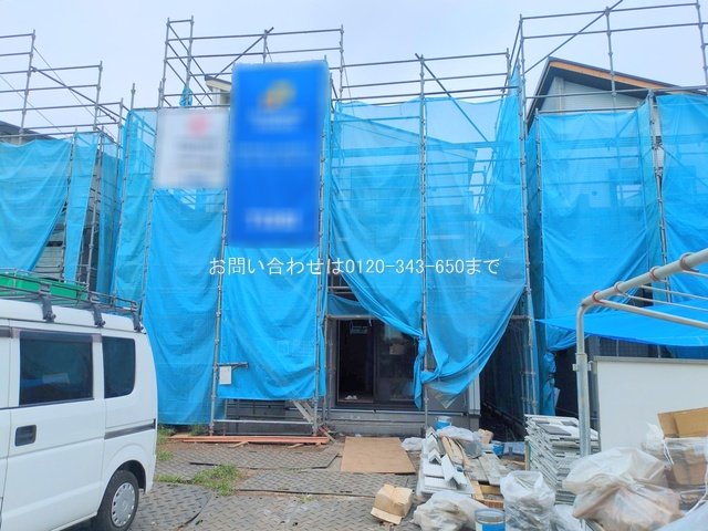 撮影日(2025-08-28 00:00:00)