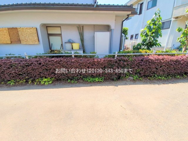 撮影日(2025-06-30 00:00:00)