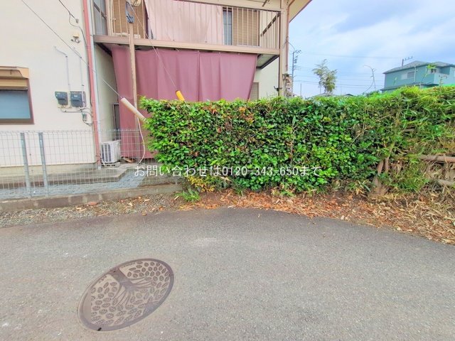 撮影日(2025-06-13 00:00:00)