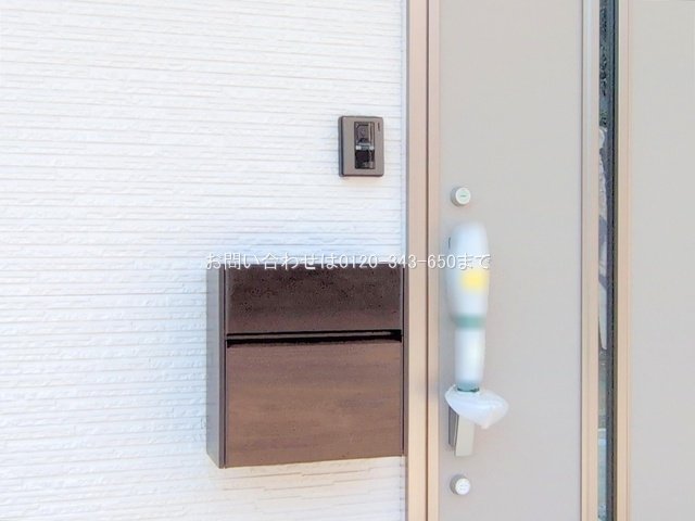 撮影日(2025-06-30 00:00:00)