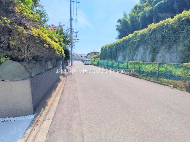 撮影日(2025-08-18 00:00:00)
