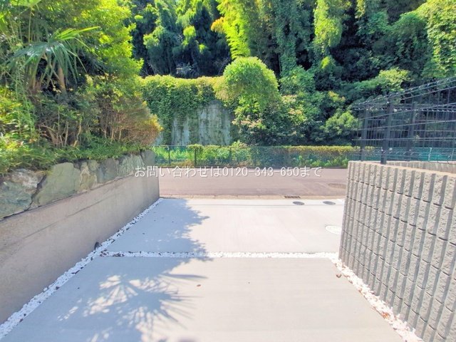 撮影日(2025-08-18 00:00:00)