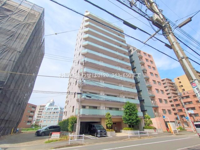 撮影日(2025-07-02 00:00:00)