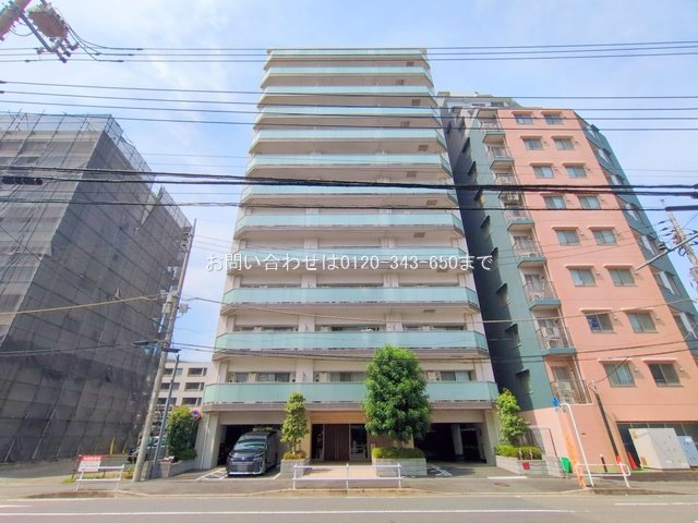 撮影日(2025-07-02 00:00:00)