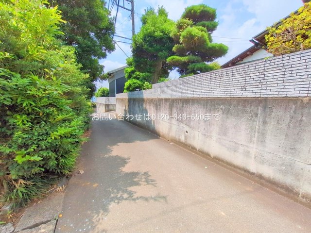 撮影日(2025-07-03 00:00:00)