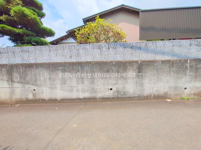 撮影日(2025-07-03 00:00:00)