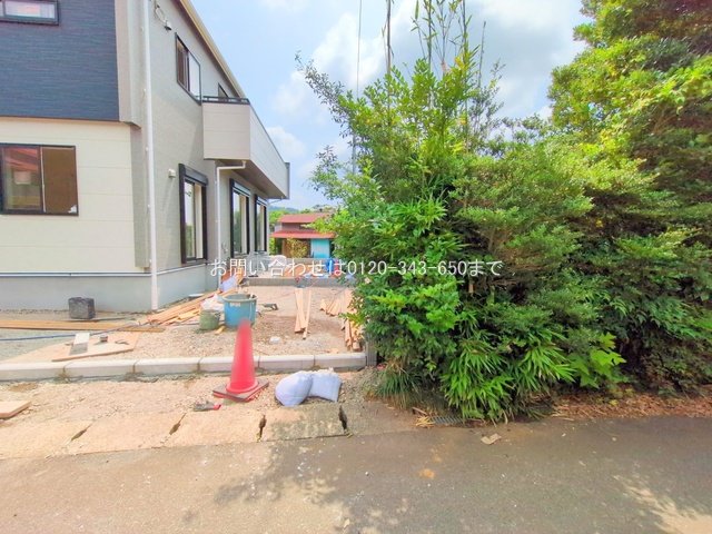 撮影日(2025-07-03 00:00:00)