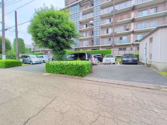 撮影日(2025-07-02 00:00:00)