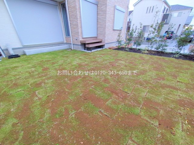 撮影日(2024-11-18 00:00:00)