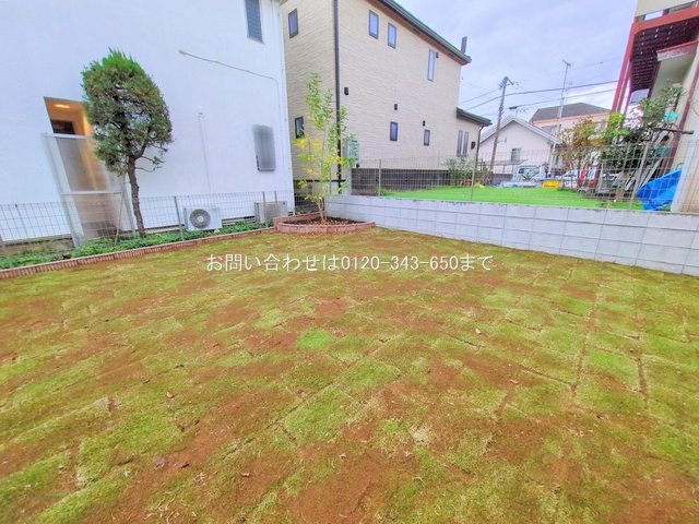 撮影日(2024-11-18 00:00:00)