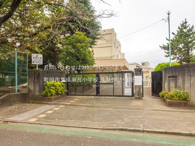 町田市立成瀬台小学校 撮影日(2021-09-17) 950m