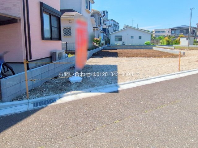 撮影日(2025-06-17 00:00:00)