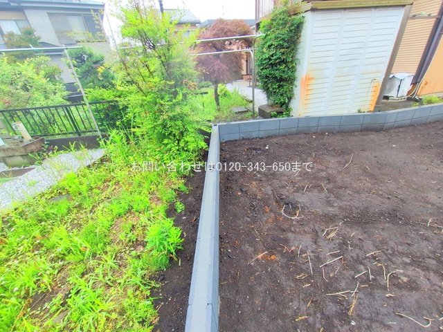 撮影日(2025-05-30 00:00:00)