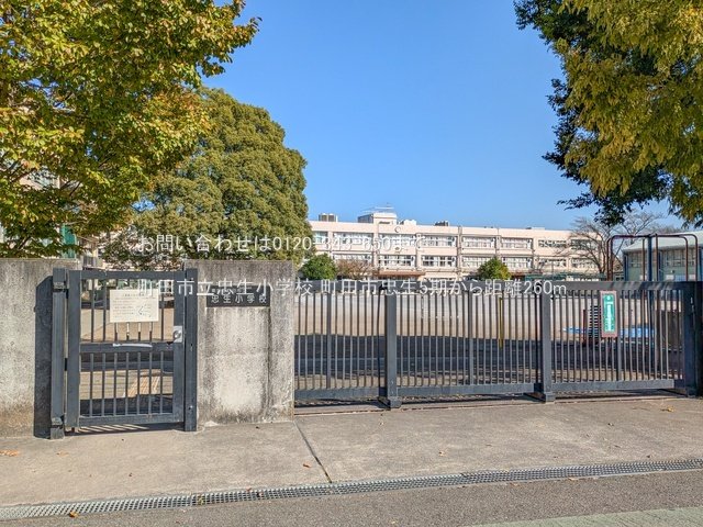 町田市立忠生小学校 撮影日(2024-11-13) 260m