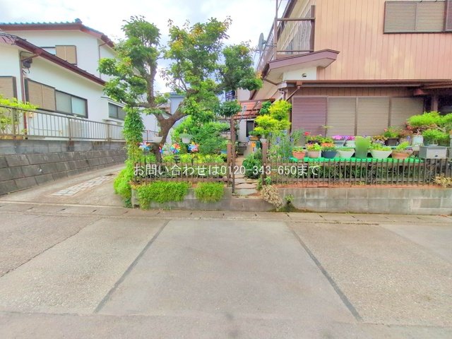 撮影日(2025-06-24 00:00:00)