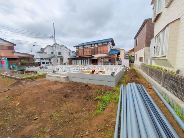 撮影日(2025-06-24 00:00:00)