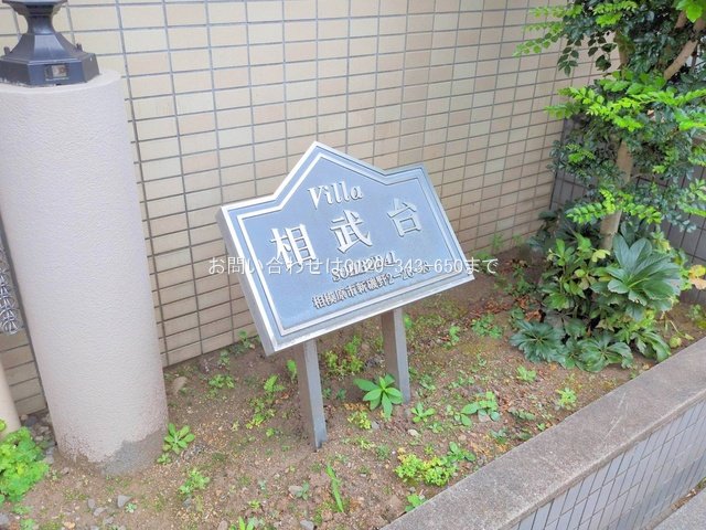 撮影日(2025-06-24 00:00:00)