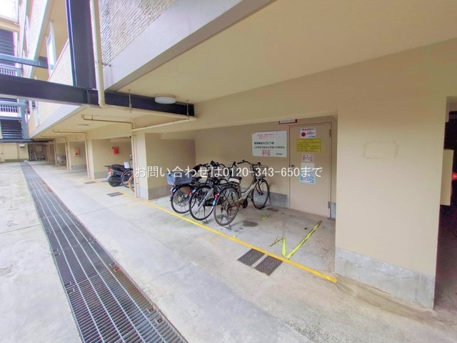 撮影日(2025-06-24 00:00:00)