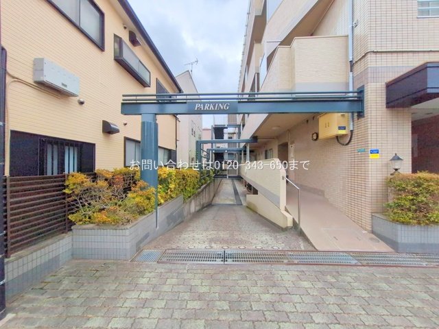 撮影日(2025-06-24 00:00:00)
