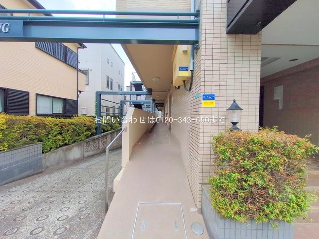 撮影日(2025-06-24 00:00:00)
