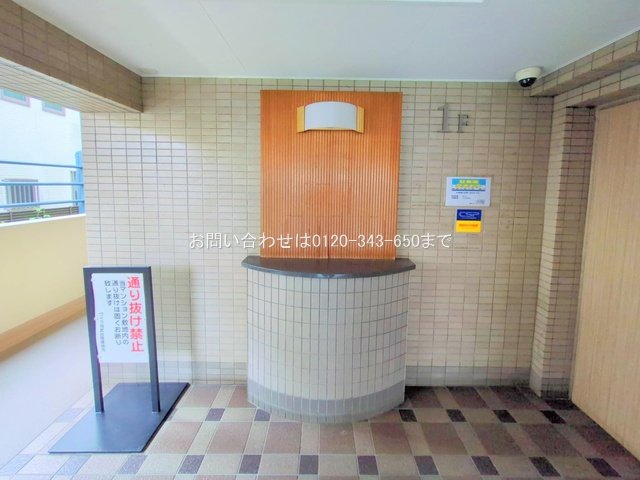 撮影日(2025-06-24 00:00:00)