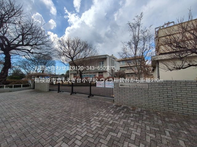 相模原市立もえぎ台小学校 撮影日(2025-03-17) 210m