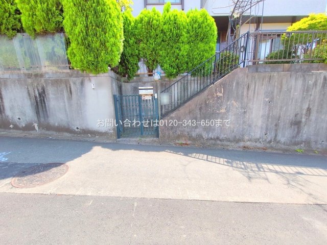 撮影日(2025-06-30 00:00:00)