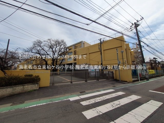 海老名市立東柏ケ谷小学校 撮影日(2025-03-13) 700m