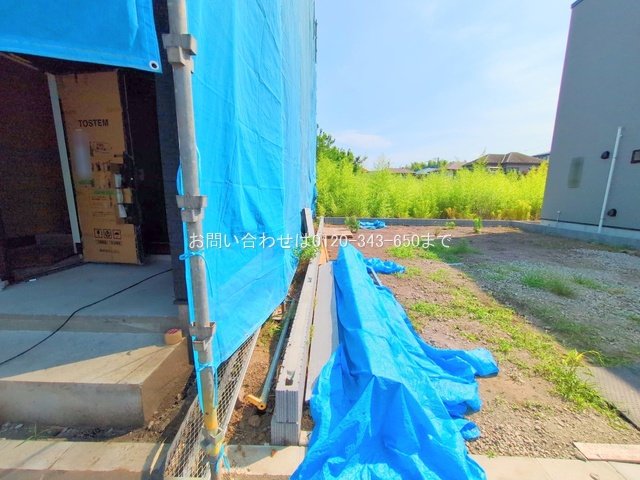 撮影日(2025-07-01 00:00:00)