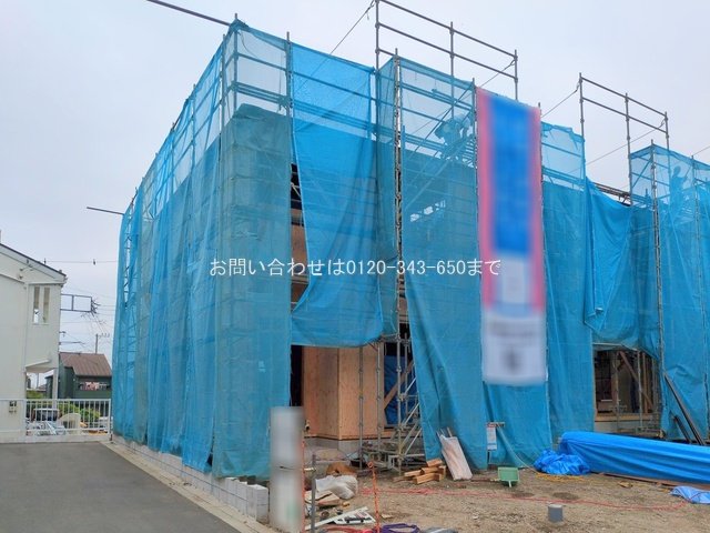 撮影日(2025-05-19 00:00:00)