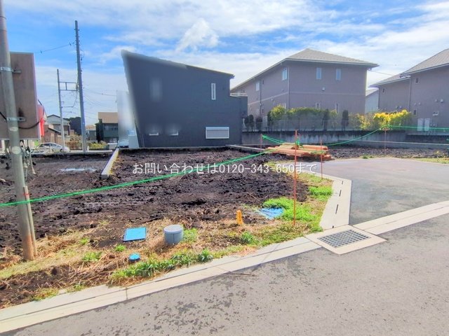 撮影日(2025-03-28 00:00:00)