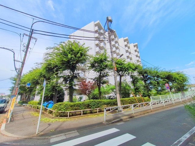撮影日(2025-07-02 00:00:00)