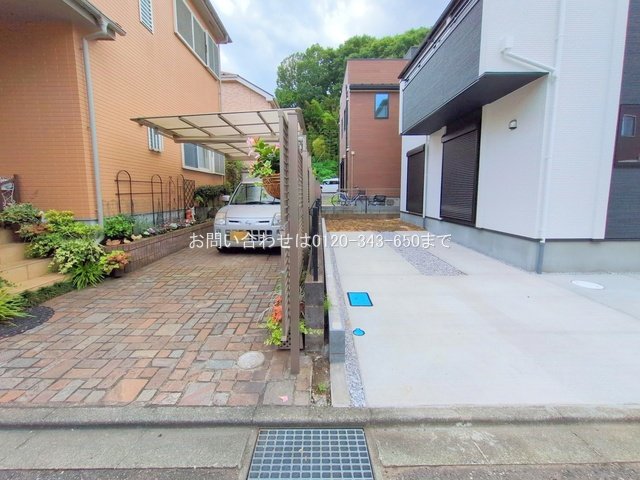 撮影日(2025-06-27 00:00:00)