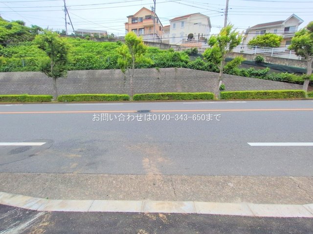 撮影日(2025-06-09 00:00:00)