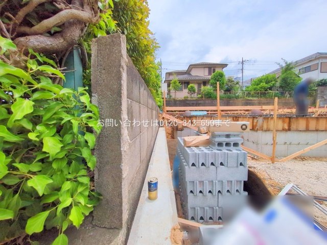 撮影日(2025-06-09 00:00:00)