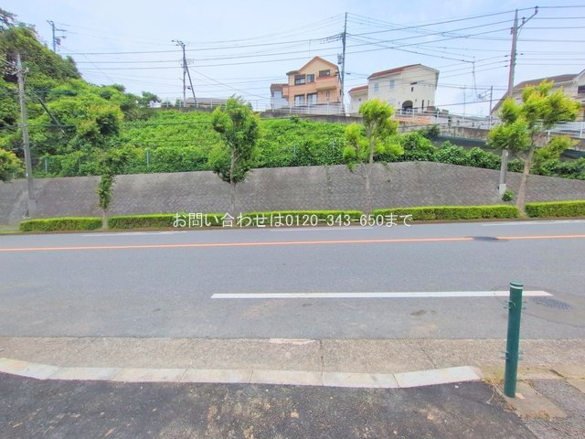 撮影日(2025-06-09 00:00:00)