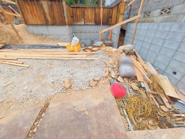 撮影日(2025-06-09 00:00:00)