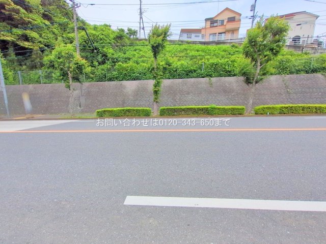撮影日(2025-06-09 00:00:00)