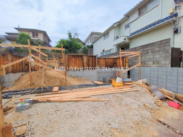 撮影日(2025-06-09 00:00:00)