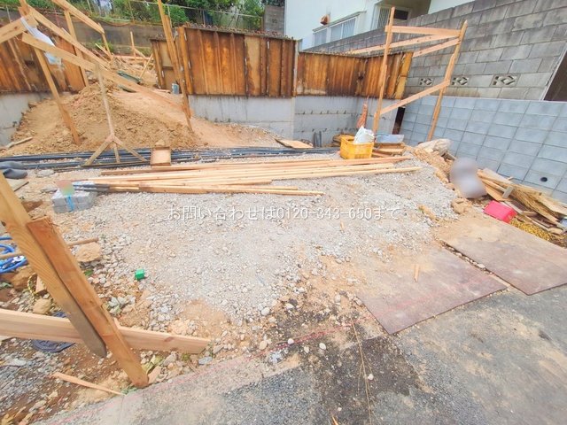 撮影日(2025-06-09 00:00:00)