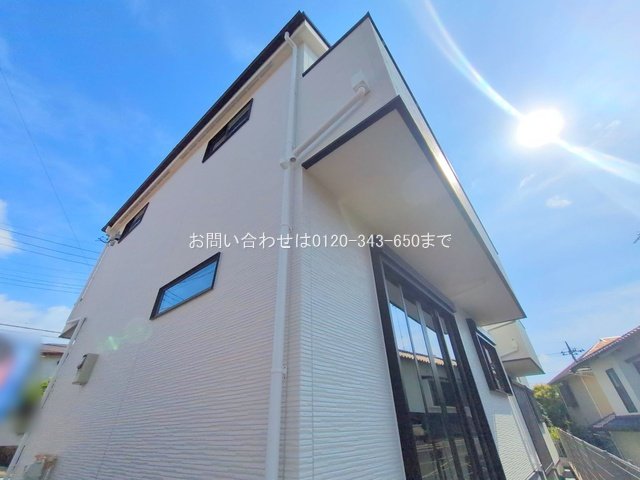 撮影日(2025-06-27 00:00:00)