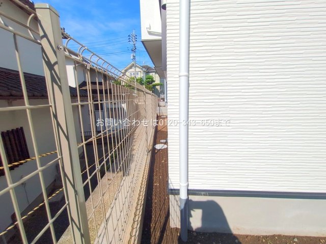 撮影日(2025-06-27 00:00:00)