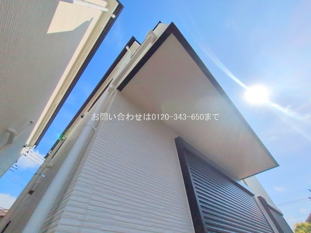 撮影日(2025-06-27 00:00:00)