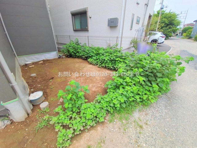 撮影日(2025-07-07 00:00:00)