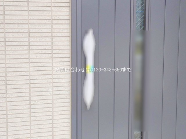 撮影日(2025-07-07 00:00:00)