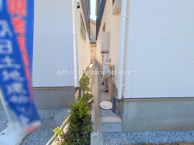 撮影日(2025-06-17 00:00:00)