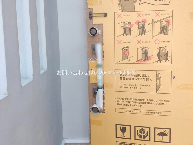 撮影日(2025-07-09 00:00:00)