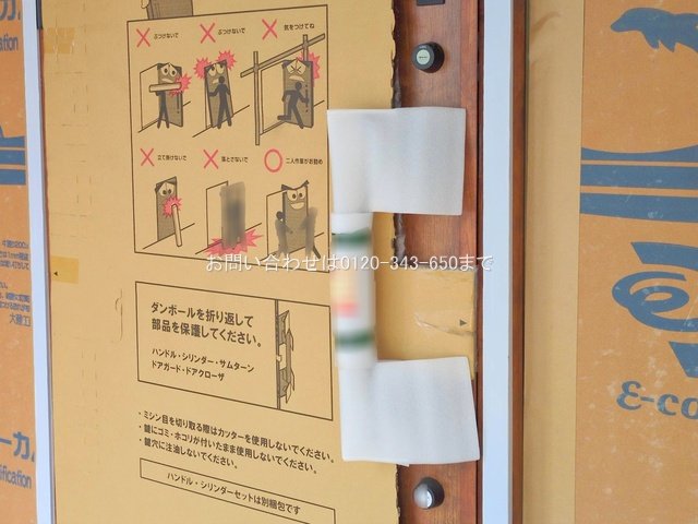 撮影日(2025-07-09 00:00:00)