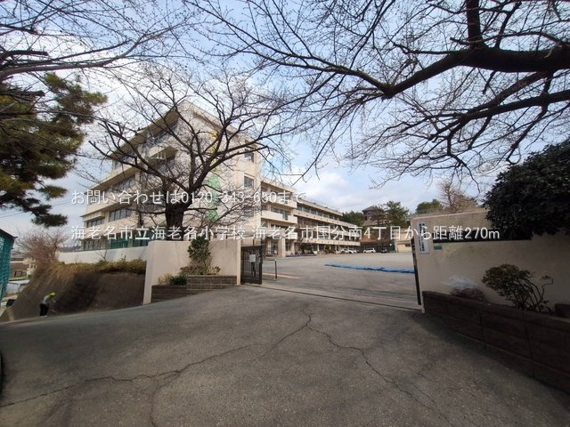海老名市立海老名小学校 撮影日(2025-03-24) 270m