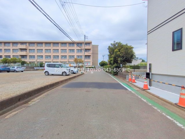 撮影日(2025-08-01 00:00:00)